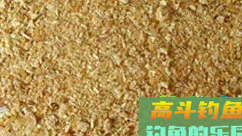 秋钓鲤鱼饵料秘方，钓一次渔获猛增好几倍