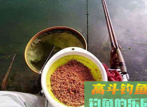 为何抽了散炮鱼情反而变差了？