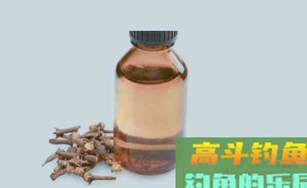 秋季钓大鱼，饵料中加料，效果翻倍，通杀鲫草鲤