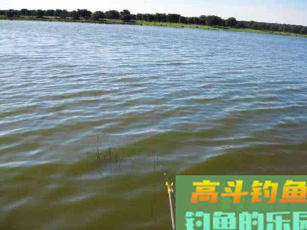 都说钓鱼要用粮食换，该如何打窝，从四个方面考虑