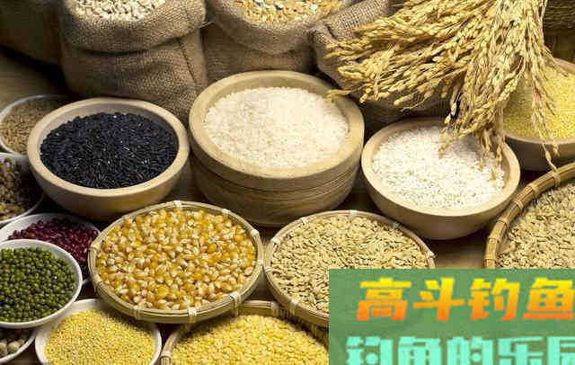 钓鱼挂饵能不能露钩尖？知道真相了后，从此不乱来