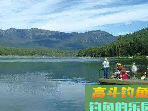 野钓时想要快速发窝，拉饵的这几个技巧要掌握