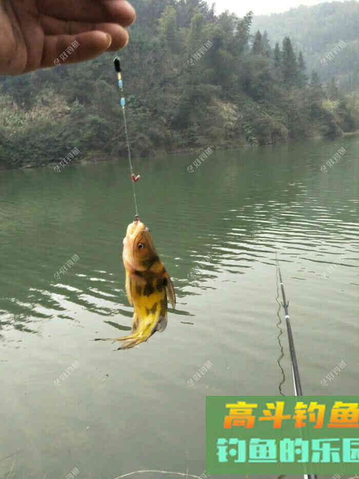 浅谈我的多种蚯蚓养殖方法