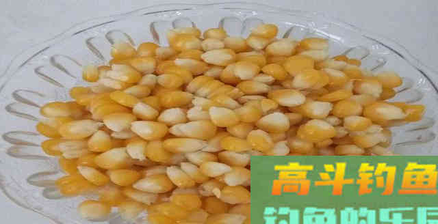 民间淘来的饵料配方，鲫鲤草编青鱼通杀能避杂鱼