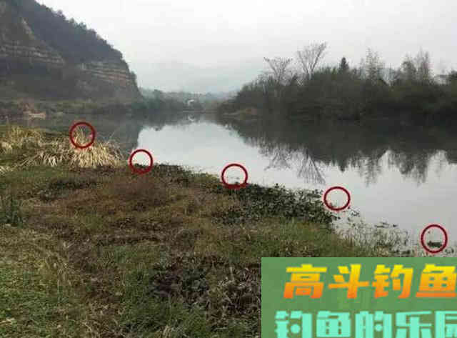 为什么打了窝子，守一天一条鱼也钓不到？