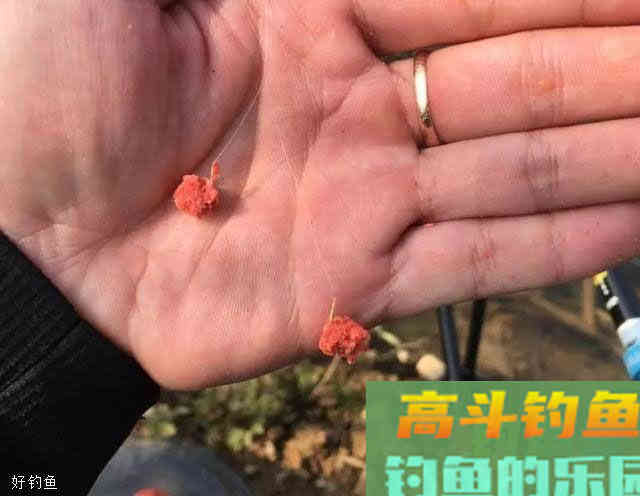 适合新手的开饵5步法，教你开出好饵料