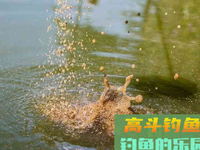 都说钓鱼要用粮食换，该如何打窝，从四个方面考虑