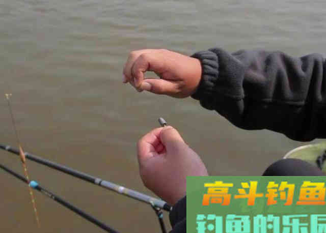 诱来鱼不吃钩，难道是钓饵不合鱼的口味？
