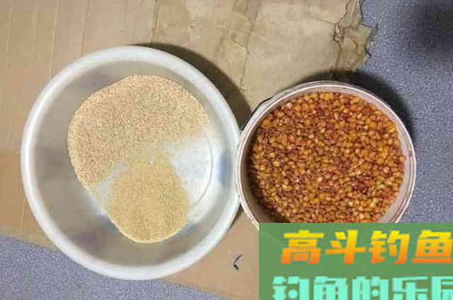 秋天钓鲫鲤的速效饵，助我鱼获丰收