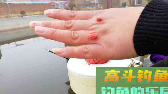 为什么你用拉饵总是钓不好鱼