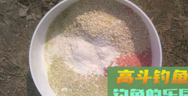 鱼饵能分哪几种类型？认准4种鱼饵类型秒杀1群鱼