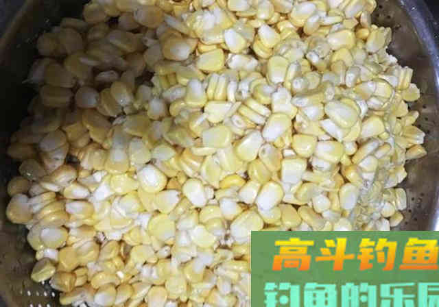 用了半辈子的打窝料配方，主攻鲤鱼和草鱼
