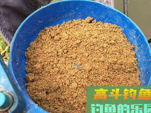 小黄面为什么风靡黑坑？它是一种怎样的钓饵
