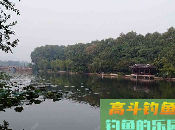 玉米窝料类别与水情鱼情分析，玉米窝料特性与打窝方法