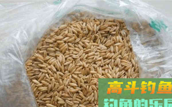 夏季的两个绝杀鲫鱼饵料配方，使用不怕闹小鱼