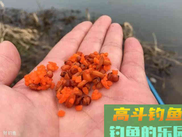 鱼饵四大味型：腥香只是入门，那么酸臭呢？
