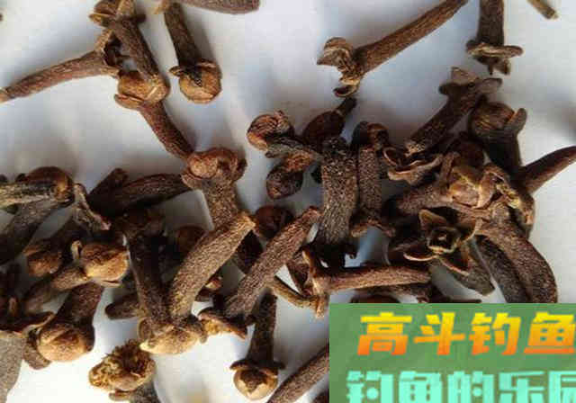 每年三月份，我都用这款自制饵料钓鲤鱼