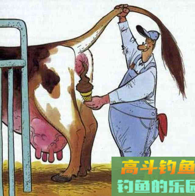 要想钓得多，必得先打窝，教你打什么窝，怎么打