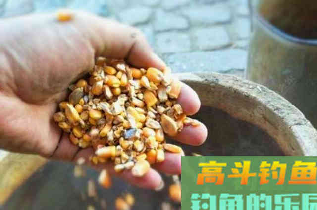 用玉米钓鱼的五个技巧，别忽视