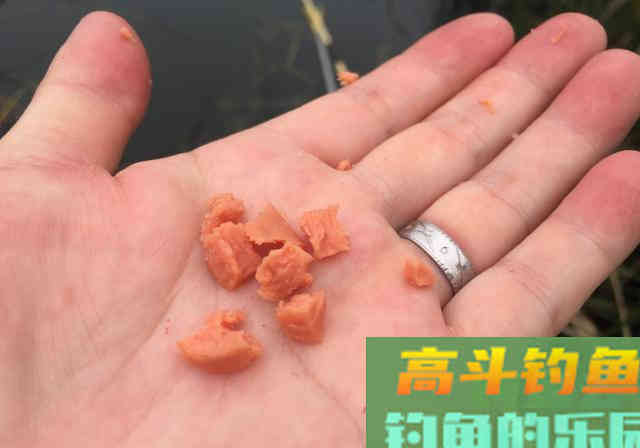 防止杂鱼闹的饵料，只要一块钱，能钓各种鱼