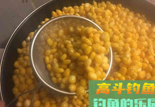 自制窝料需要加哪些“佐料”？复杂不等于好使