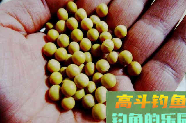 集团钩饵料配方，制作方法分享，钓友们别错过