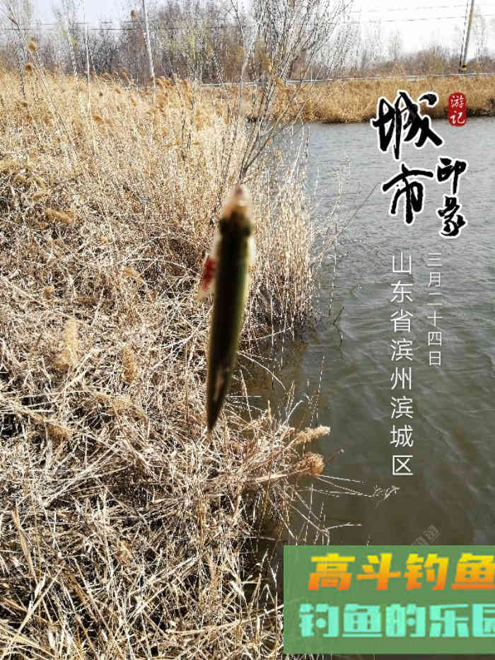 钓鱼打窝技巧——我自身经历的钓鱼
