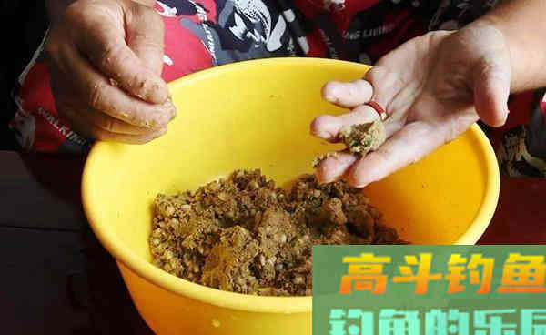 春季钓鱼酒米这样用，渔获只多不少