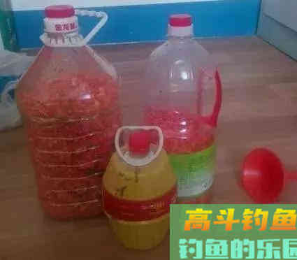 维生素是如何诱鱼的