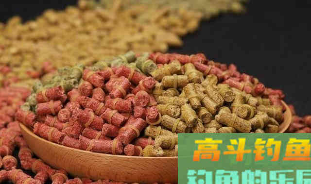 钓鱼剩下饵料怎么办？老钓手教你2妙招