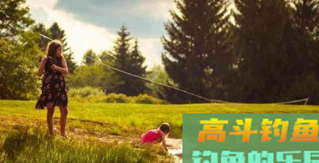 不同的水情要按不同的模式调整鱼饵，照如下方法做就好