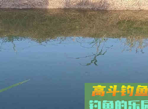 饵料配方分享：专攻大鲫鱼大鲤鱼，初冬钓鱼必备