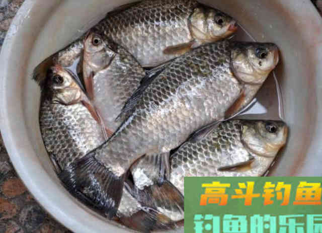 冬季钓鱼的5点体会，并附上我的自制钓鲫饵料配方
