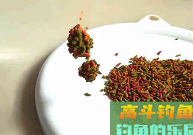 冬季钓鱼这样做窝，诱鱼快留鱼久