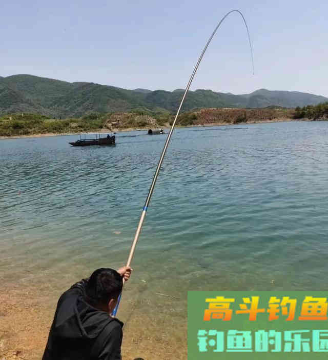 它被垂钓界公认的万能饵，玉米