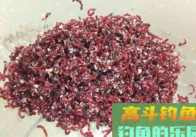 红虫钓鱼说了几十年，但所有这4种虫饵，都不是红虫