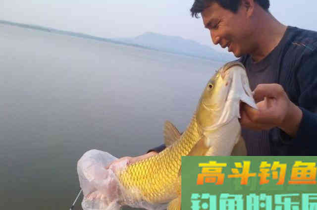 天热后，唯独这3种饵才最管用，不信你就试试