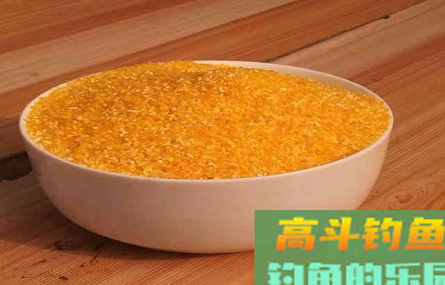 夏季钓鱼，用自制果酸米打窝，效果很好