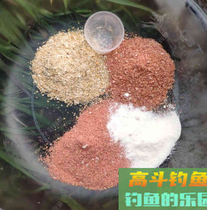 早春钓鱼的用饵技巧