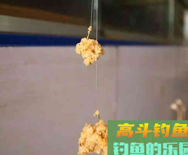野钓清明前后，打窝迟迟没动静，可以试试隔夜窝