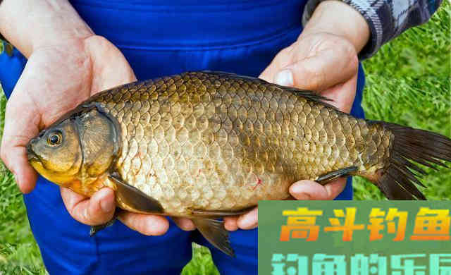 酒米的酒味太重需要放气？别光考虑浓淡，用途也要