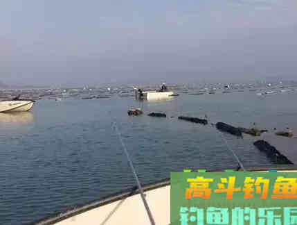 6种诱鱼+8种打窝，玩爆钓鱼