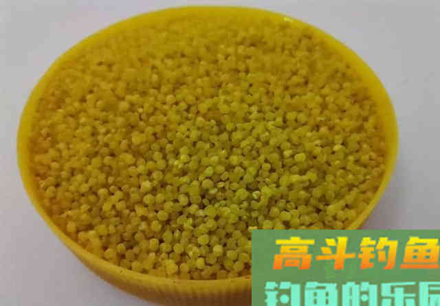在家自制一款商品饵，秋钓鲤鱼经济又好用