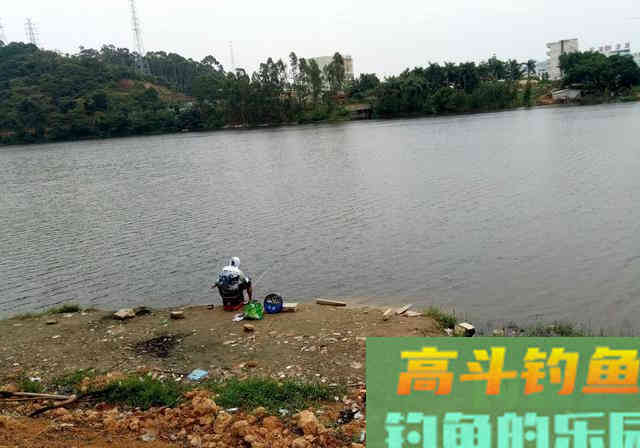夏季钓鱼不想走空，推荐你看看这些，打窝用饵小贴士