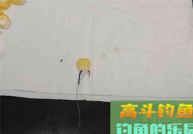 嫩玉米这样挂可大幅提高中鱼概率，不同的鱼用不同挂法