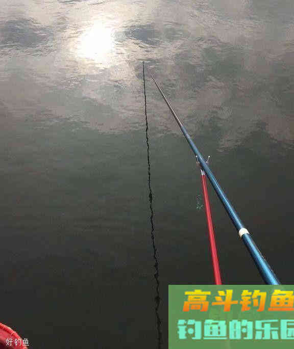 为什么浮漂不出顿口？今天来细说几点关于饵料的技巧
