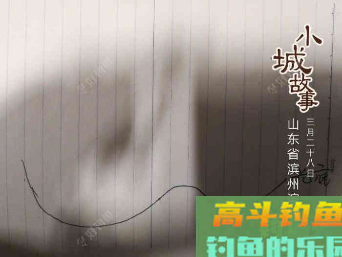钓鱼打窝技巧——我自身经历的钓鱼