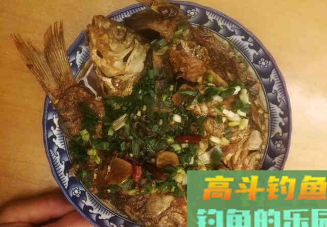 用于冬钓的酒米颗粒钓罗非鱼，还还能钓野生大板鲫