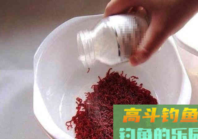 冬季使用红虫做钓饵，不想用手触碰，试试这3招