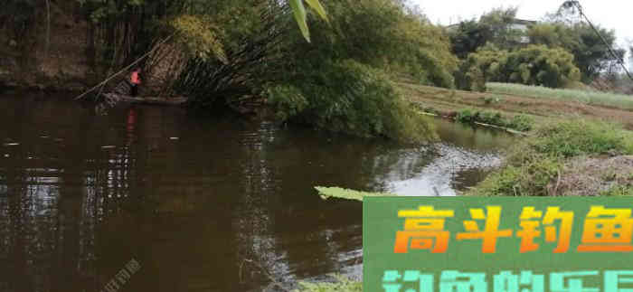 学习谷麦钓第一步，谷麦窝料的制作，上大鱼的第一步